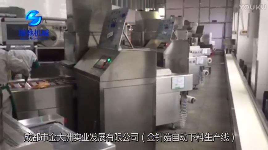 金針菇自動下料生產(chǎn)線